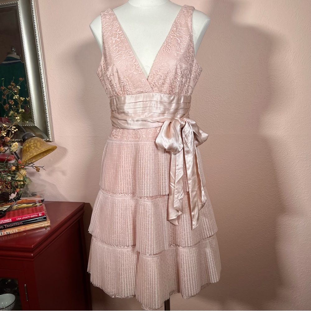 BCBGMaxAzria feminine Blush Pink coquette girl Lace Ruffle Skirt party Dress 8